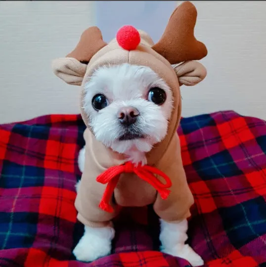Puppy Dog Hoodie Sports Cat Clothes