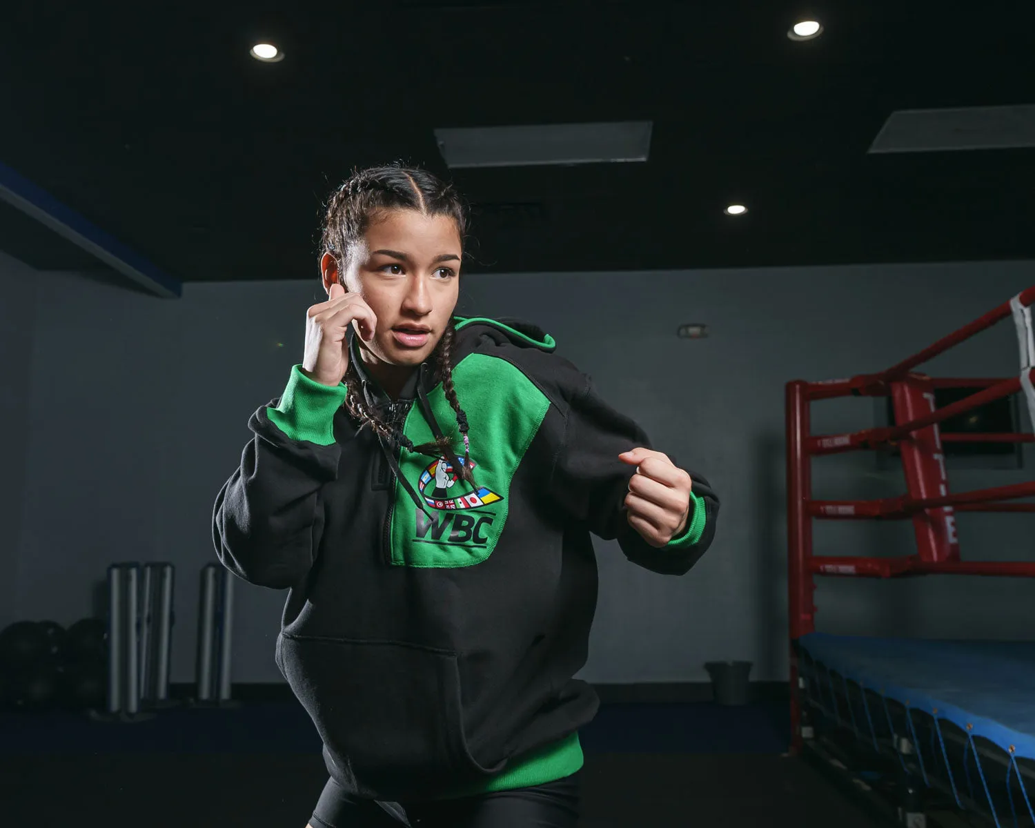 WBC by TITLE Boxing Quarter Zip Hooded Sweatshirt